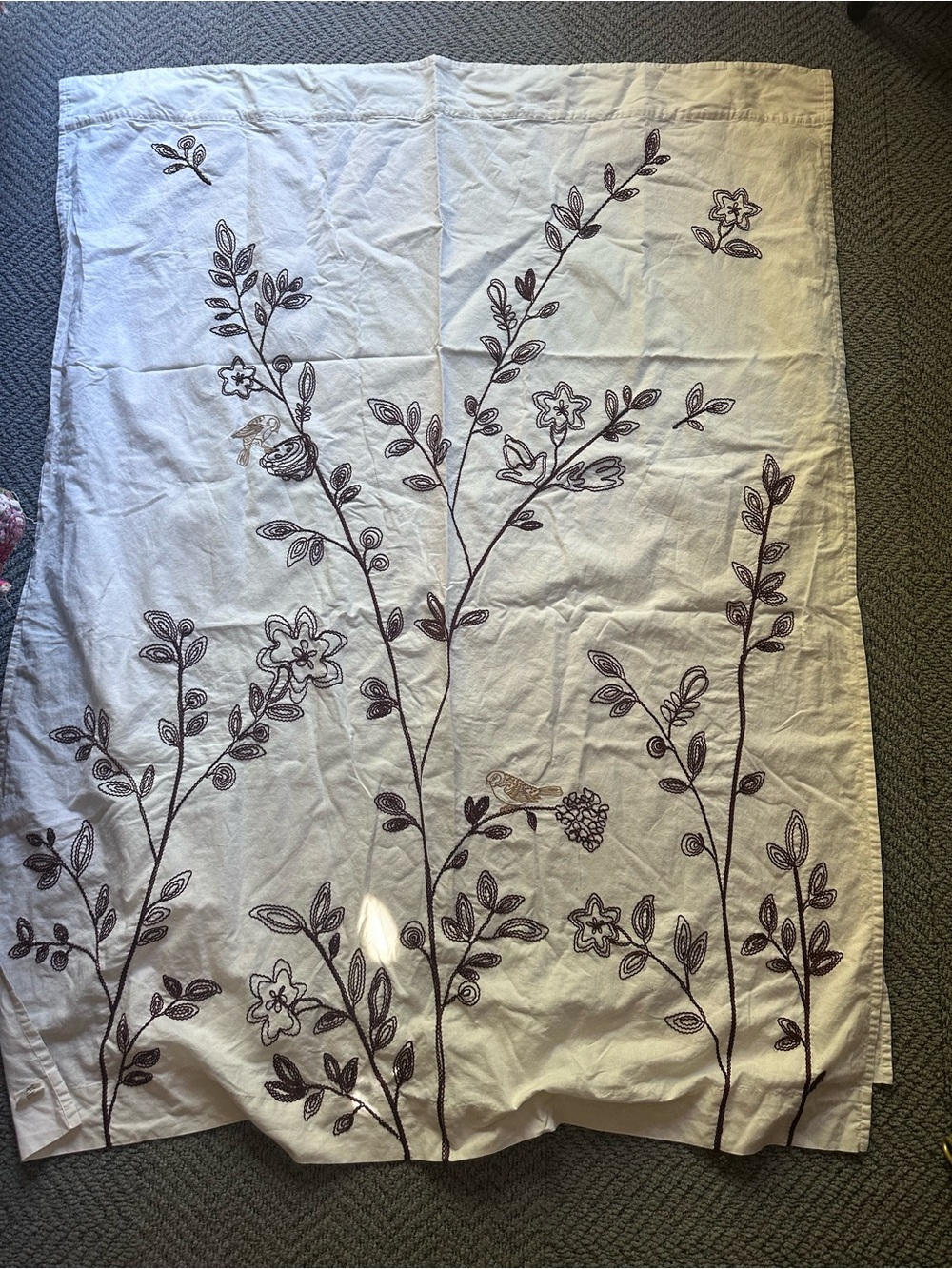Set of two Anthropologie Embroidered curtain panels 50x63
